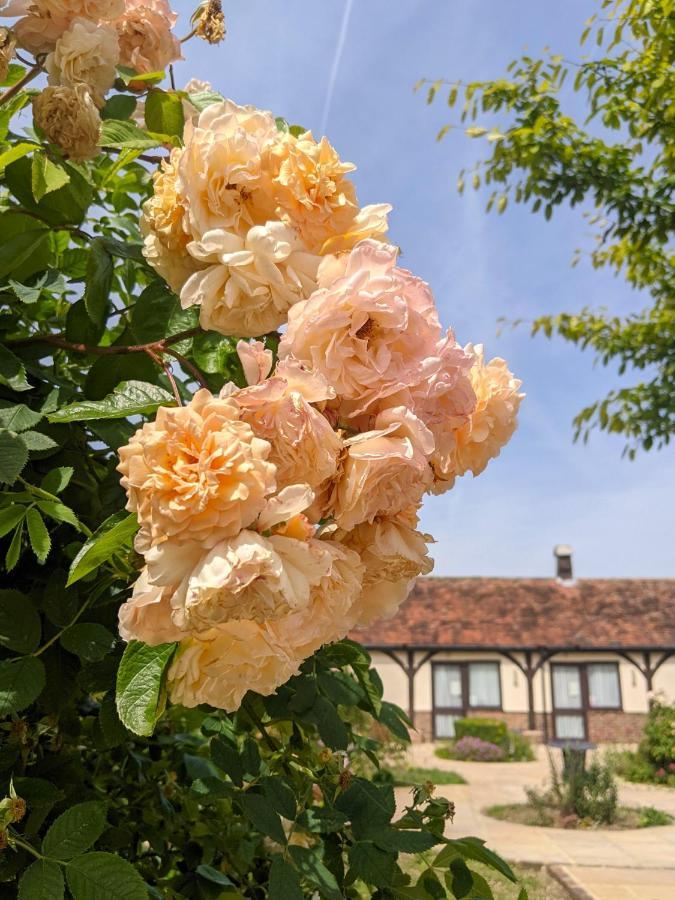Kingfisher Barn B&B Abingdon-on-Thames Kültér fotó
